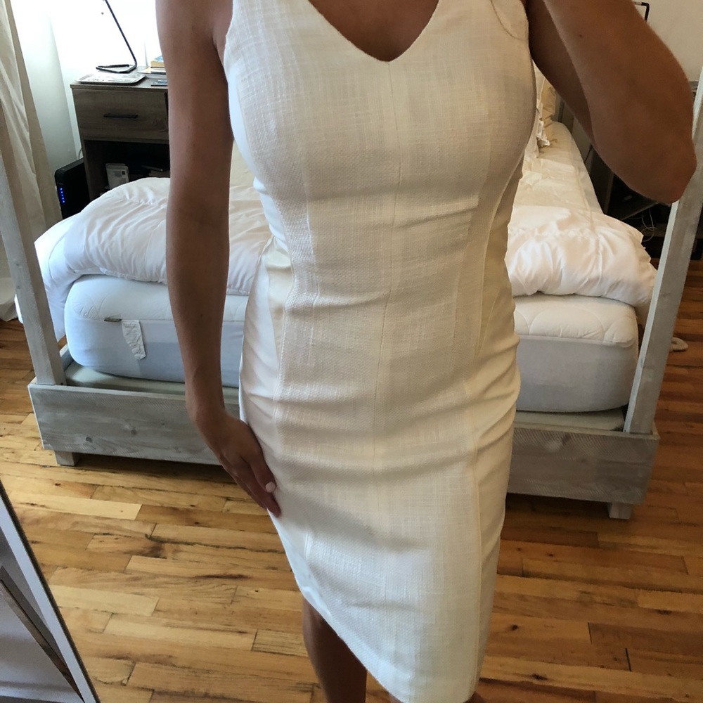 Club Monaco Dress